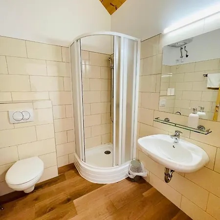 Fisher's Deluxe Apartment Balatonfured